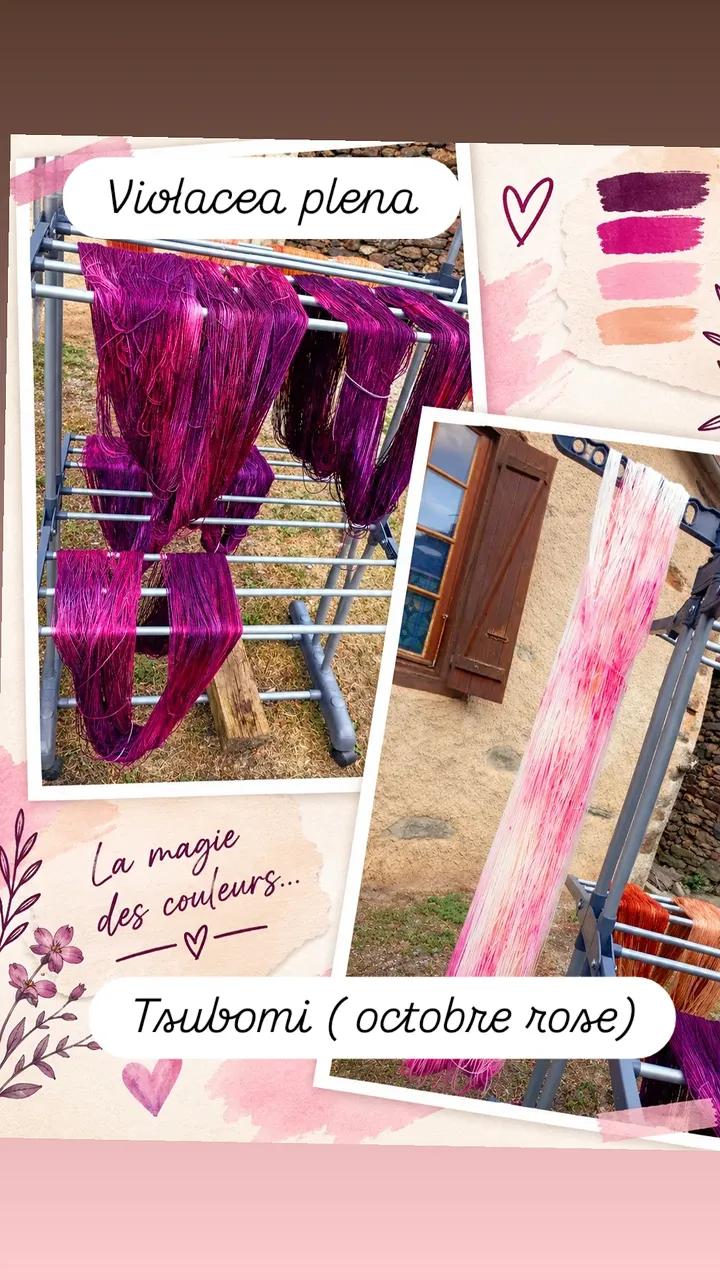 🌸 Pourquoi j'ai choisi de changer ma façon de teindre la laine