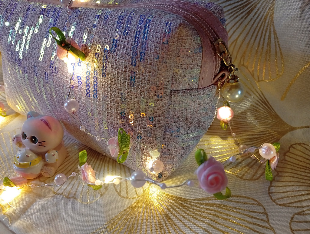 Trousse avec sequins