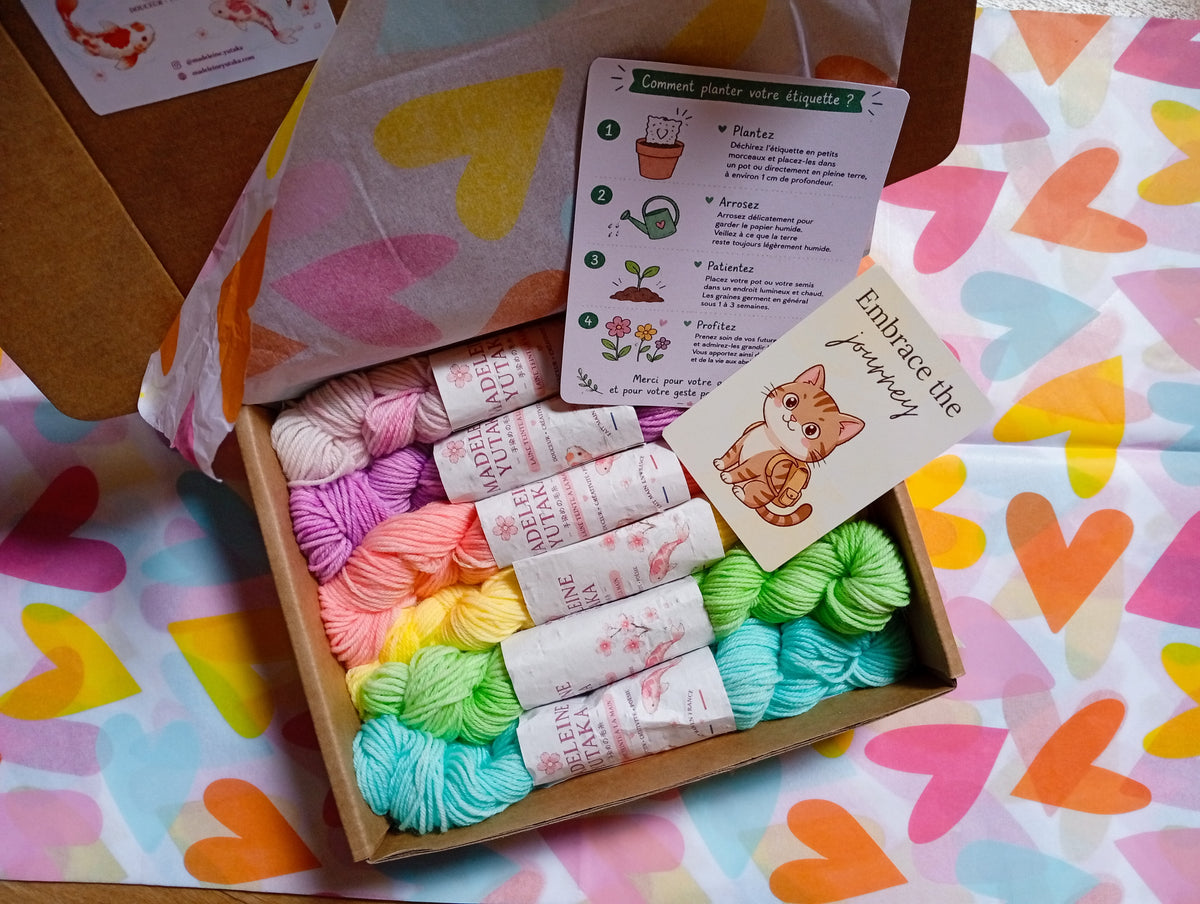 Coffret 6 écheveaux de 100gr  arc-en-ciel